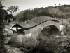 xiaju-bridge